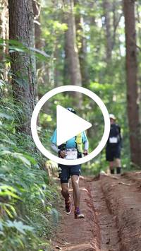 BIB:  <button type="button" onclick="openModal(26569716)" class="btn btn-primary btn-sm float-right" data-toggle="modal" data-target=".modal-high-quality">
                <i class="fa fa-download"></i> Download
                </button>